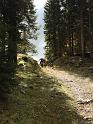 ASIAGO2018 (58)